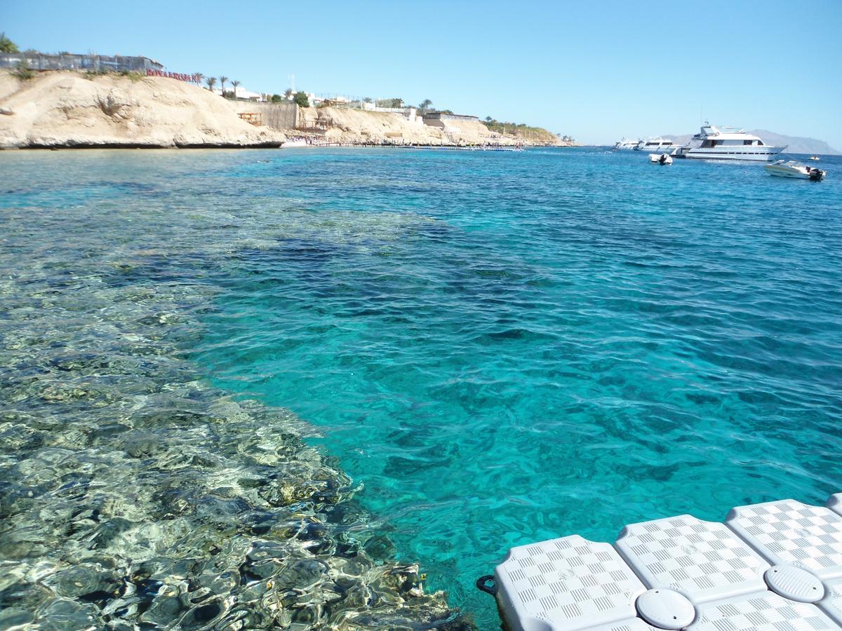 Sharks Bay Oasis Apartment Sharm el Sheikh Esterno foto