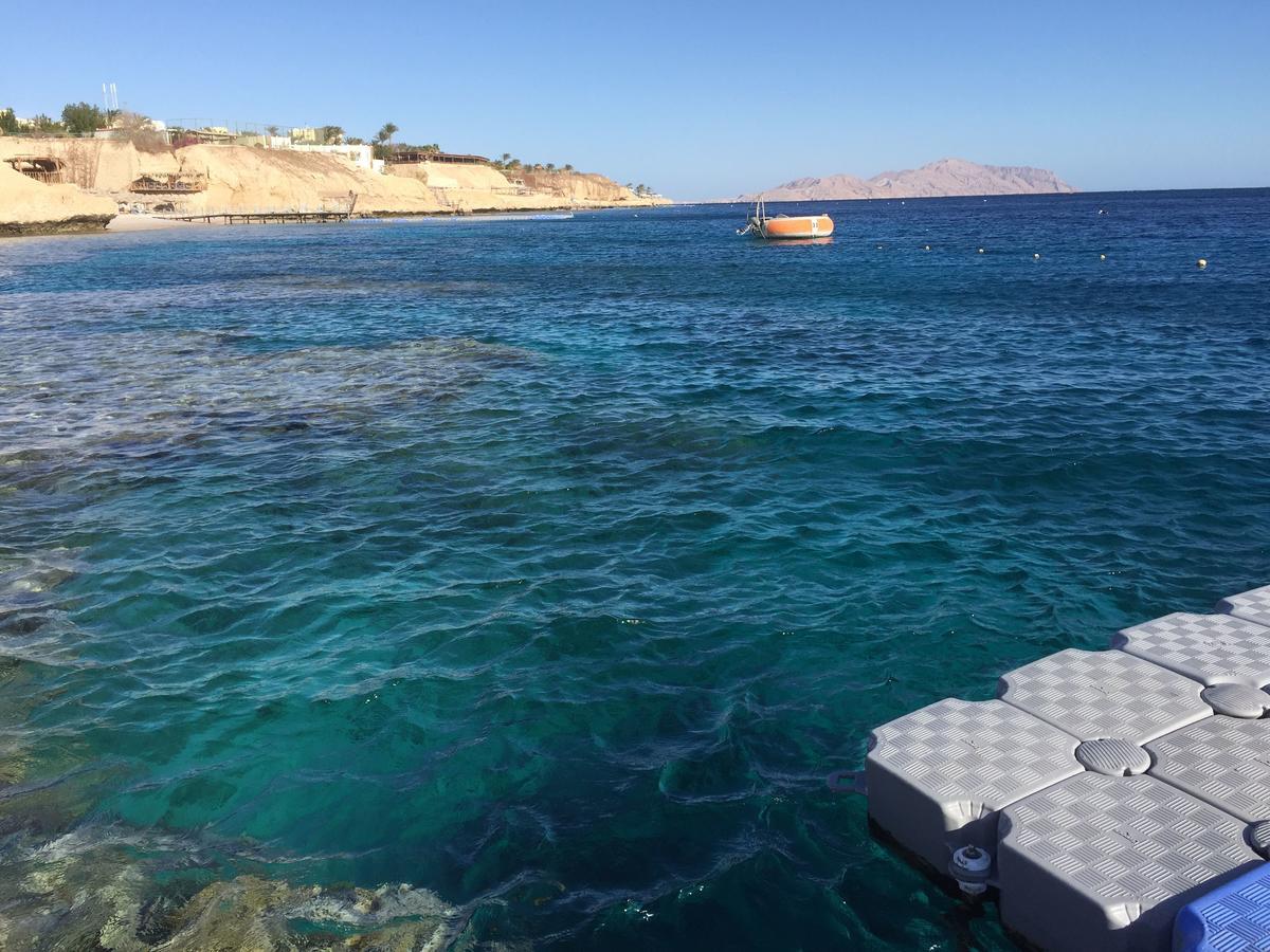 Sharks Bay Oasis Apartment Sharm el Sheikh Esterno foto