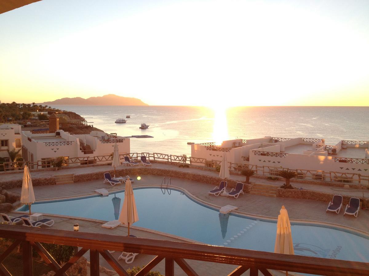 Sharks Bay Oasis Apartment Sharm el Sheikh Esterno foto